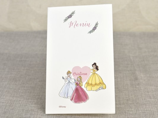meniu botez Disney 3730